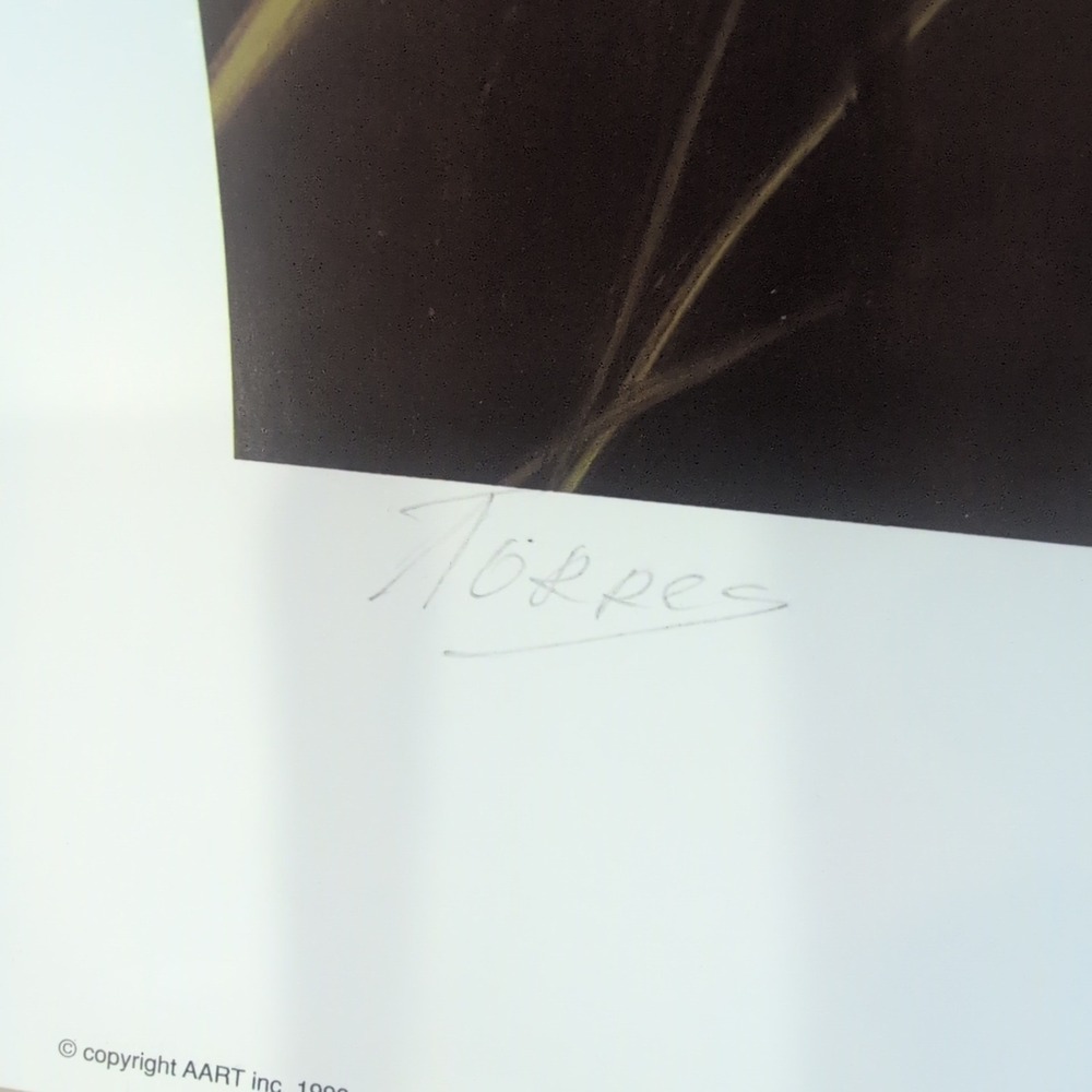 Sonia Torres Limited Ed Signed Hummingbird Odontoglossum Crispum Artist's Print‎ - Picture 7 of 8